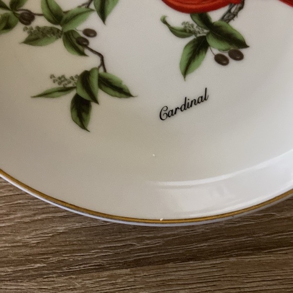 John James Audubon Porcelains Cardinal decorative plate - Picture 7 of 7